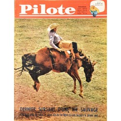 Pilote 117