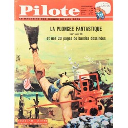 Pilote 137