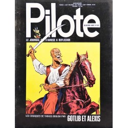 Pilote 691