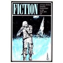 Fiction 210