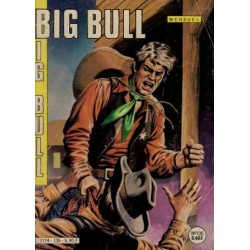 Big Bull - N°135 - L'or caché