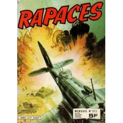 Rapaces 377 - Le pont du Roi