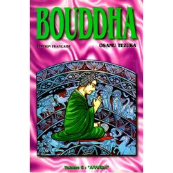 Bouddha 6 - Ananda